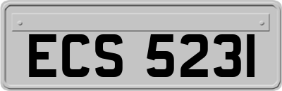 ECS5231