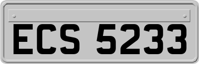 ECS5233