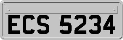 ECS5234