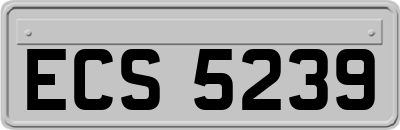 ECS5239