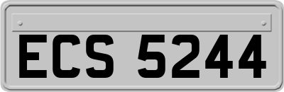 ECS5244