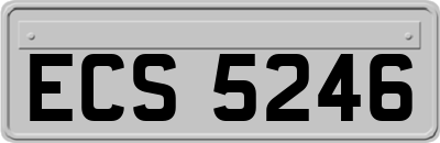 ECS5246