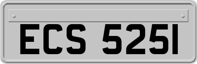 ECS5251
