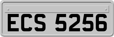 ECS5256