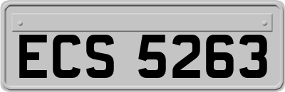ECS5263