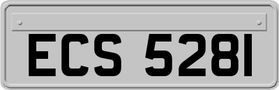 ECS5281