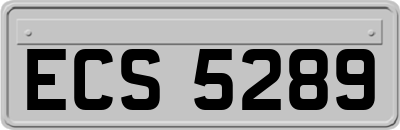 ECS5289