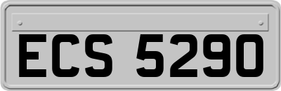 ECS5290
