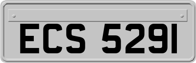 ECS5291