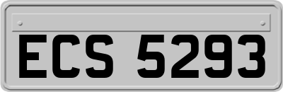 ECS5293