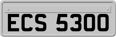 ECS5300