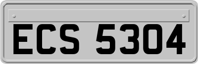 ECS5304