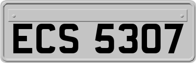 ECS5307