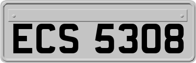 ECS5308