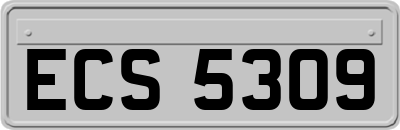 ECS5309