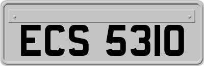 ECS5310