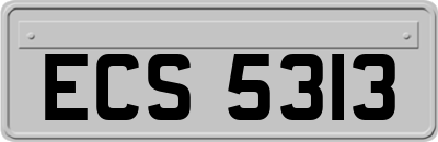 ECS5313
