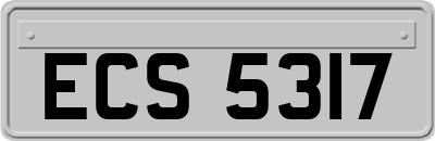 ECS5317