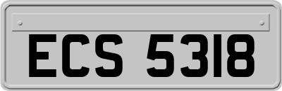 ECS5318
