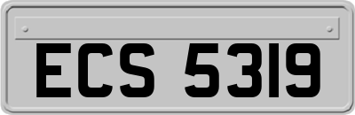 ECS5319