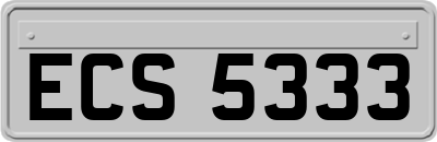 ECS5333