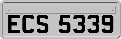 ECS5339