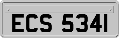 ECS5341