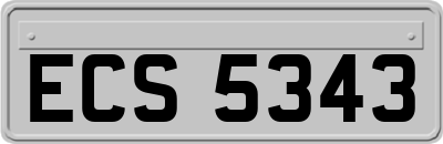 ECS5343
