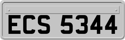 ECS5344