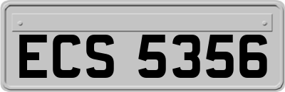 ECS5356