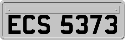 ECS5373