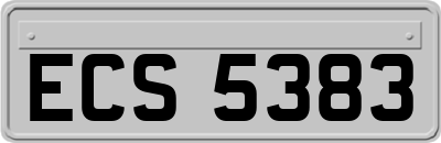 ECS5383