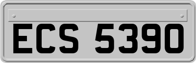ECS5390