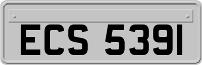 ECS5391