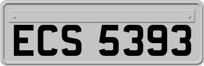 ECS5393