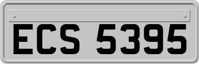 ECS5395