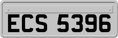 ECS5396