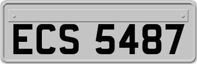 ECS5487