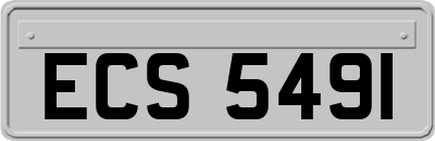 ECS5491