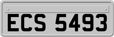 ECS5493