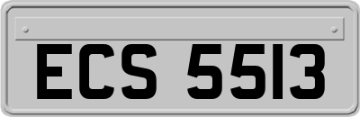 ECS5513