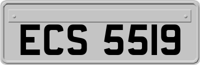 ECS5519