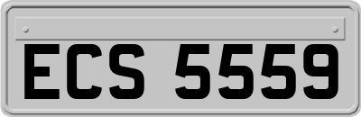 ECS5559