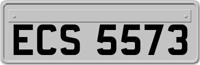 ECS5573