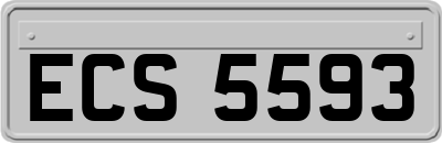 ECS5593