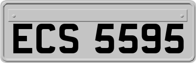 ECS5595