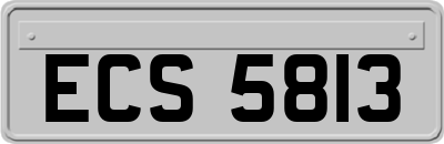 ECS5813