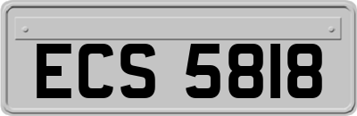 ECS5818