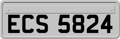 ECS5824
