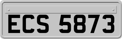 ECS5873
